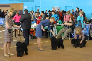 2013-11-24Minsk